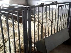 Ivyo vili mu Famu ya Mbere